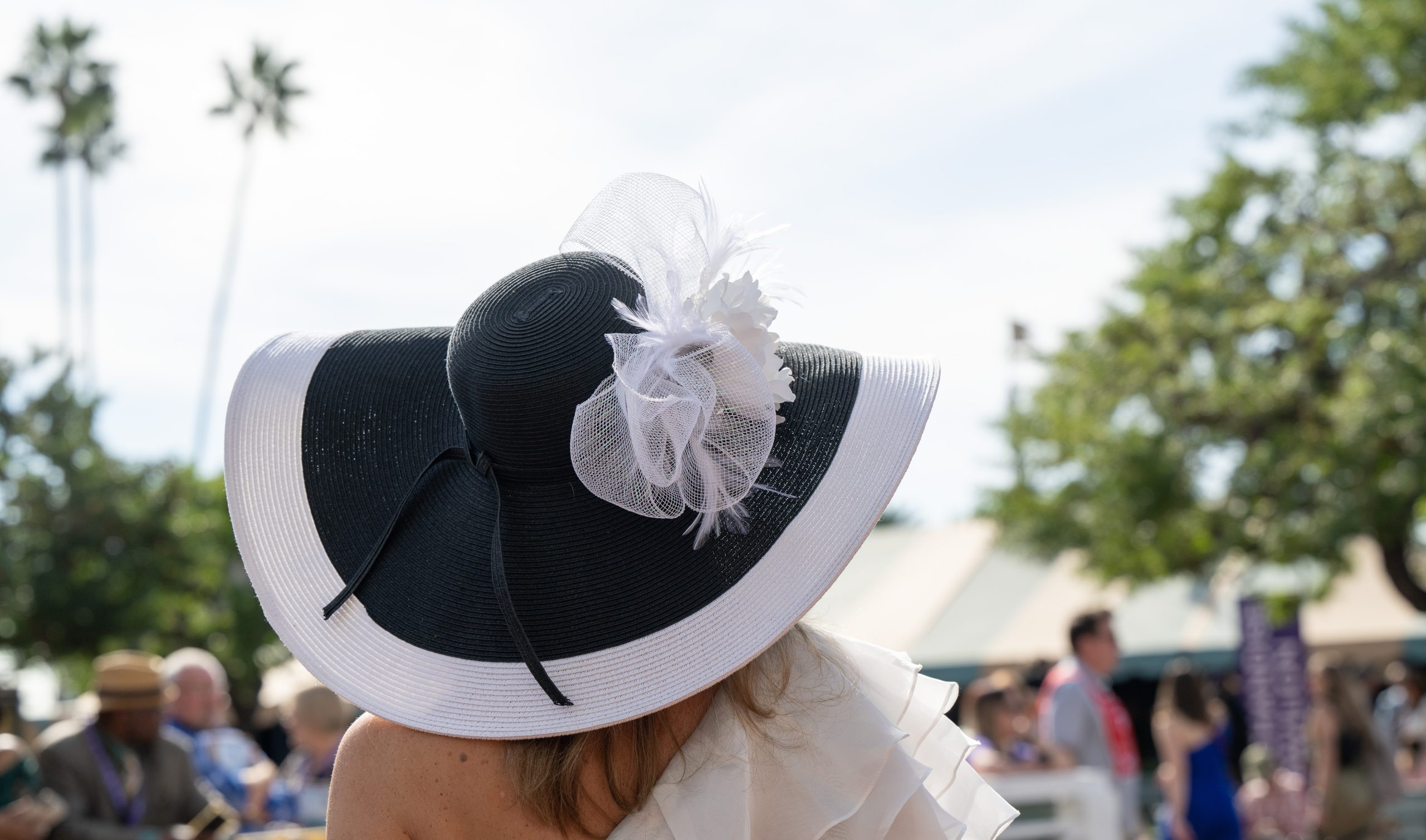 A true derby hat that is perfect for a southern derby party.